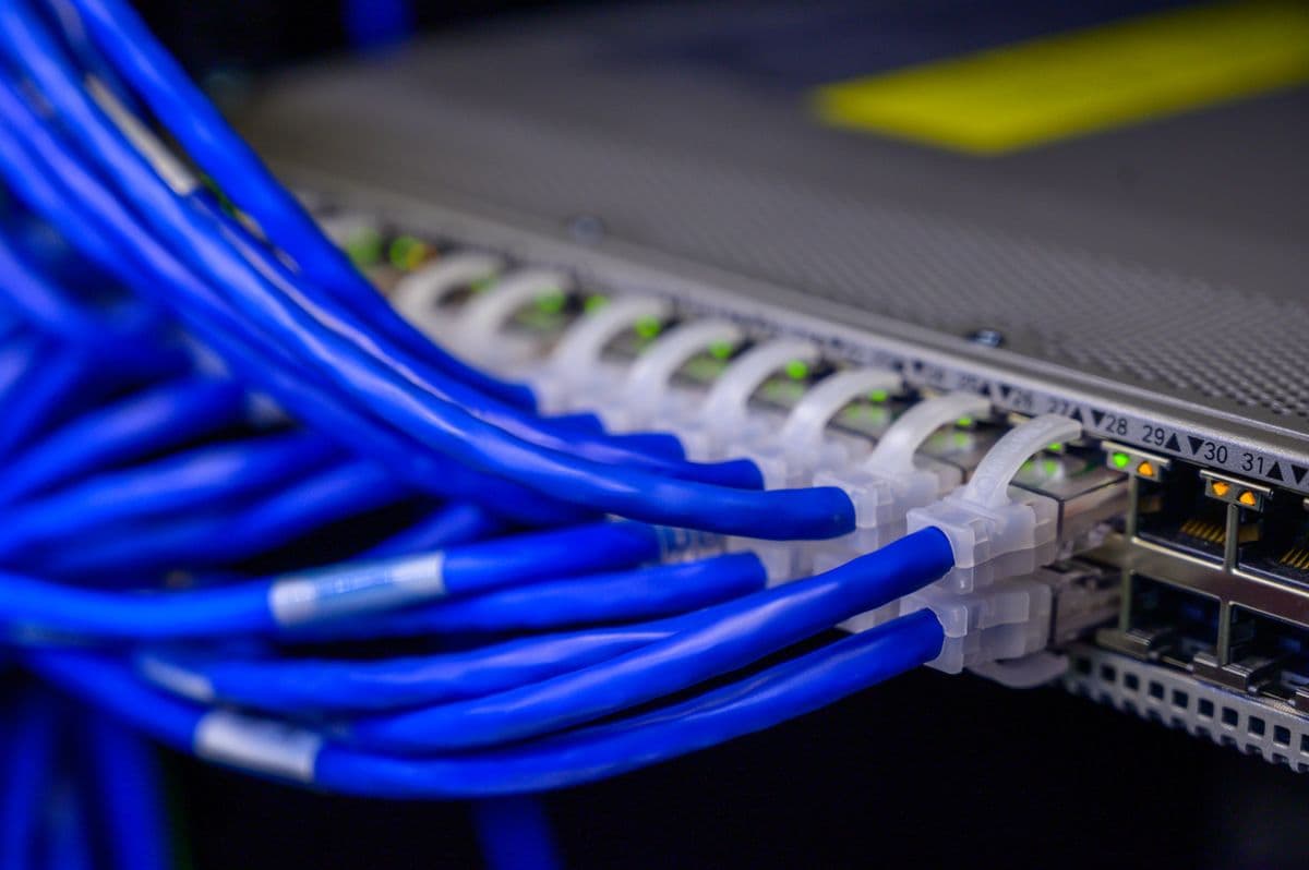 Network backbone